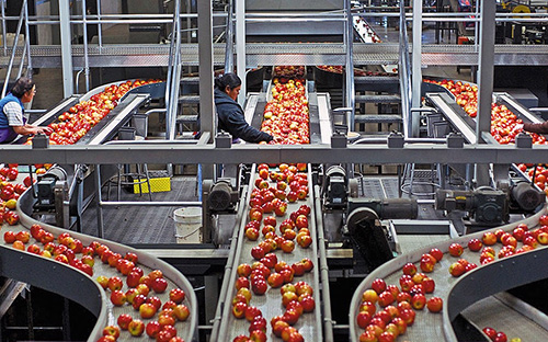 w66最给力恭贺清涧北国枣业公司斥资 3.4亿正式投产 