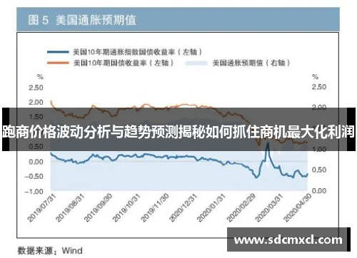 跑商价格波动分析与趋势预测揭秘如何抓住商机最大化利润