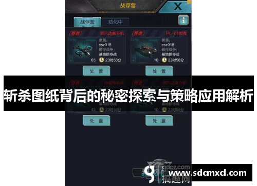 斩杀图纸背后的秘密探索与策略应用解析