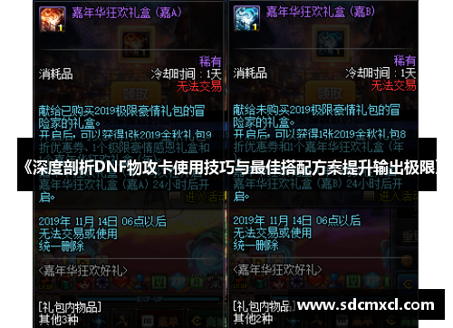 《深度剖析DNF物攻卡使用技巧与最佳搭配方案提升输出极限》