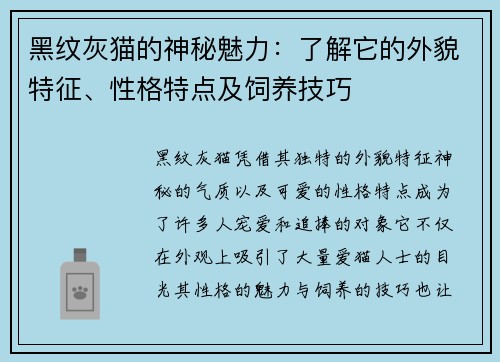 黑纹灰猫的神秘魅力：了解它的外貌特征、性格特点及饲养技巧
